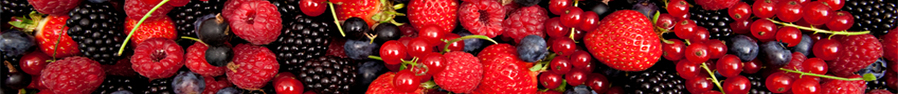 Frutti di Bosco